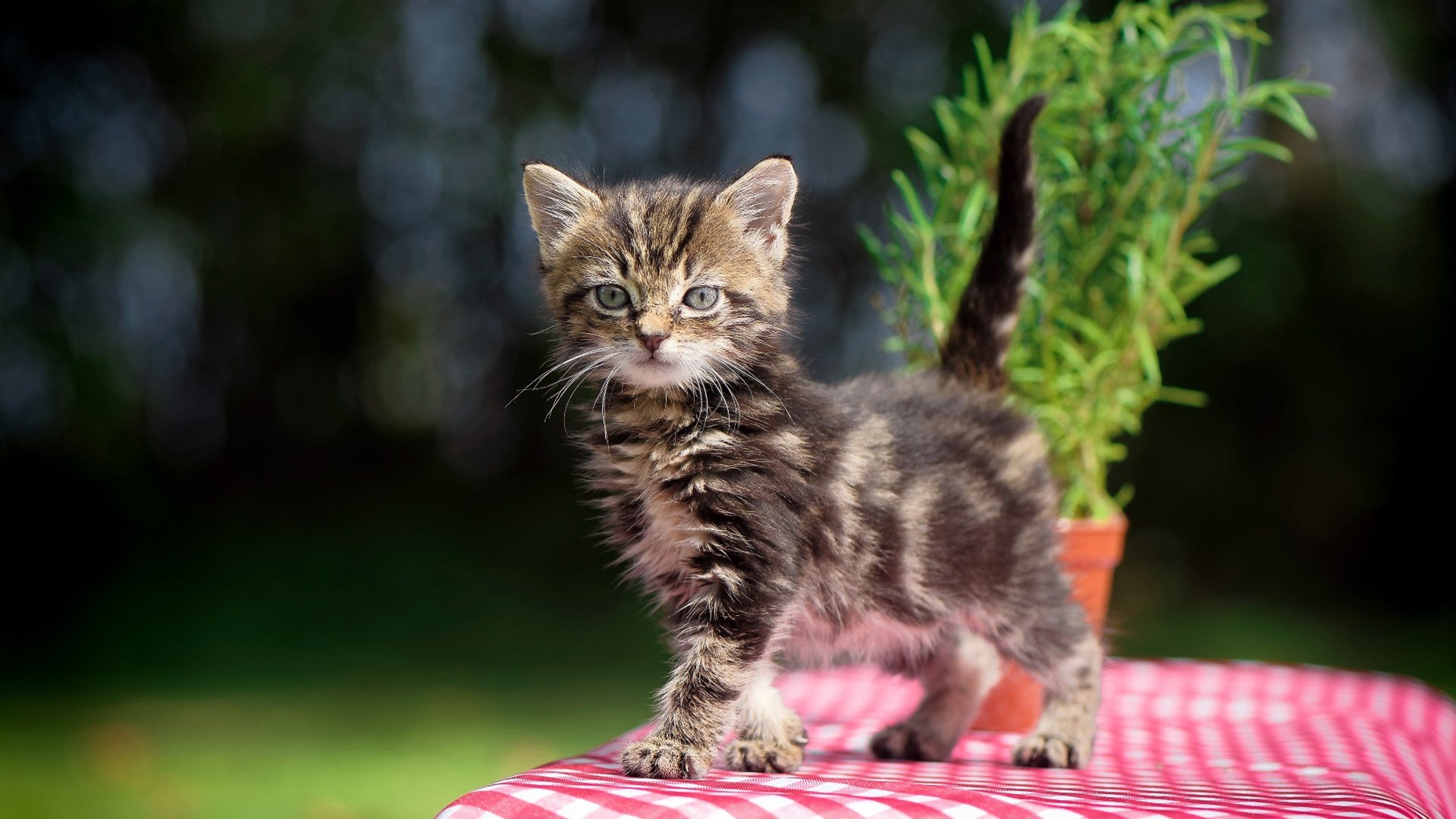 雪与火，当亚洲逆袭撕开旧神的黄昏，姆巴佩以孤勇扛起星光