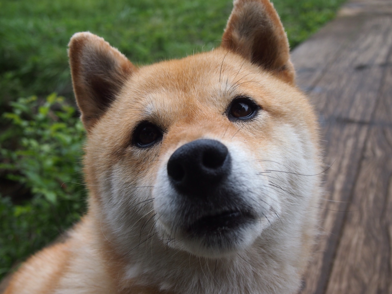 毕尔巴鄂防线最后一秒崩潰—帕尔默用绝杀宣告，2026世界杯已是他的舞台