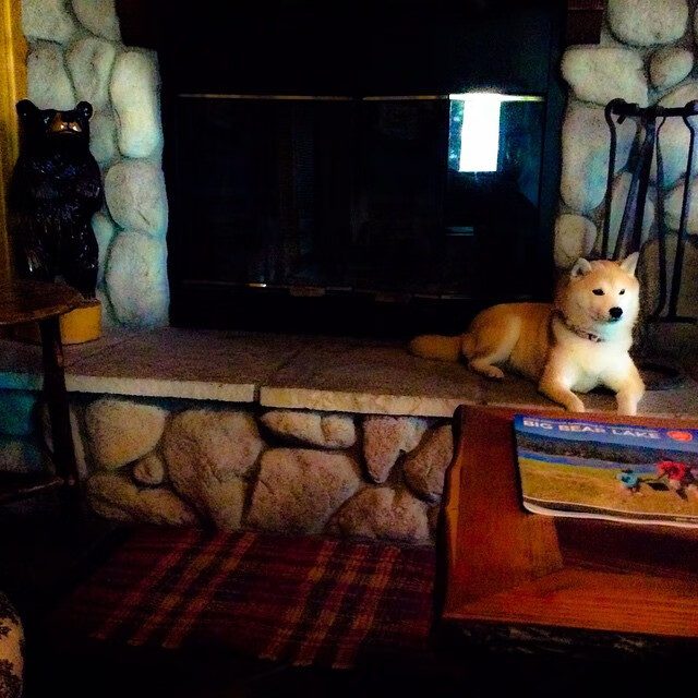 门神降临,2026世界杯决赛夜,奥纳纳封神无争议