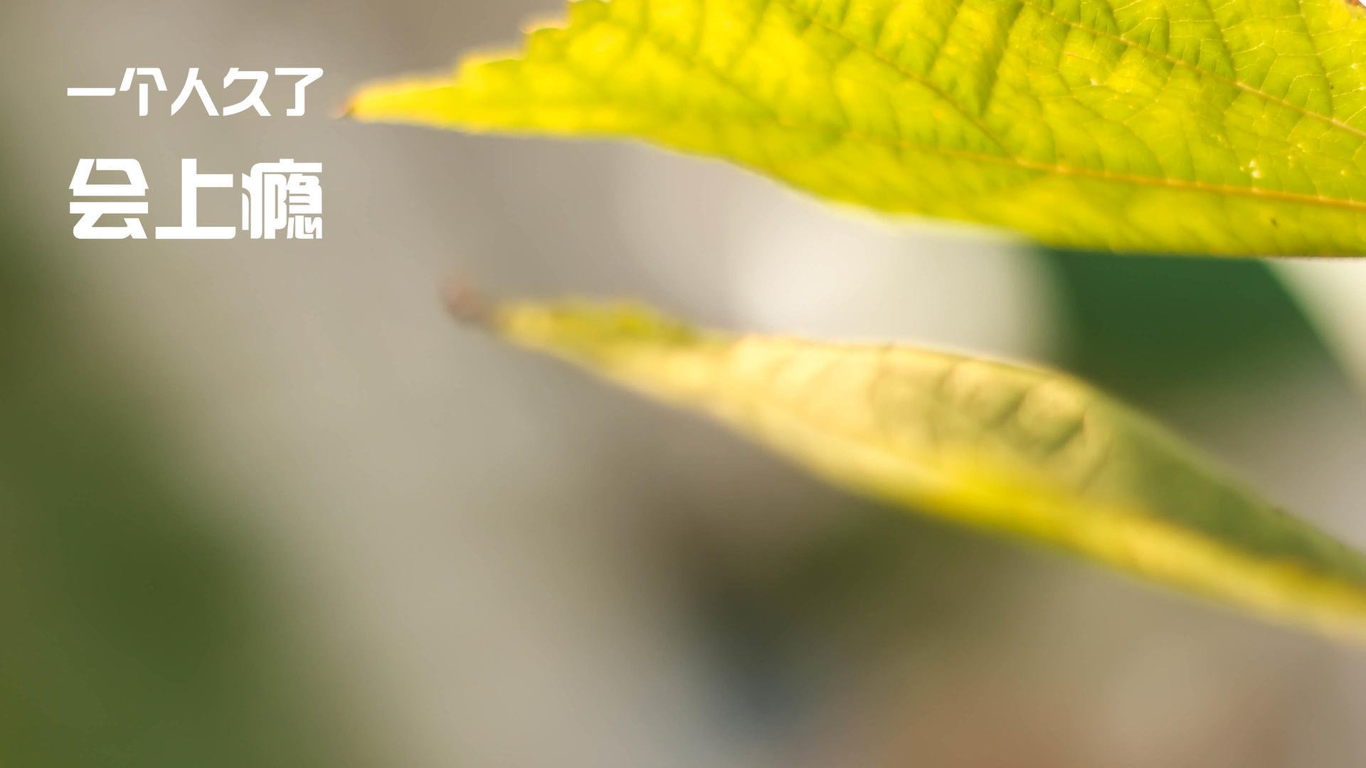 熔炉战场上的另类主宰,当基耶萨的匕首刺穿英伦风暴