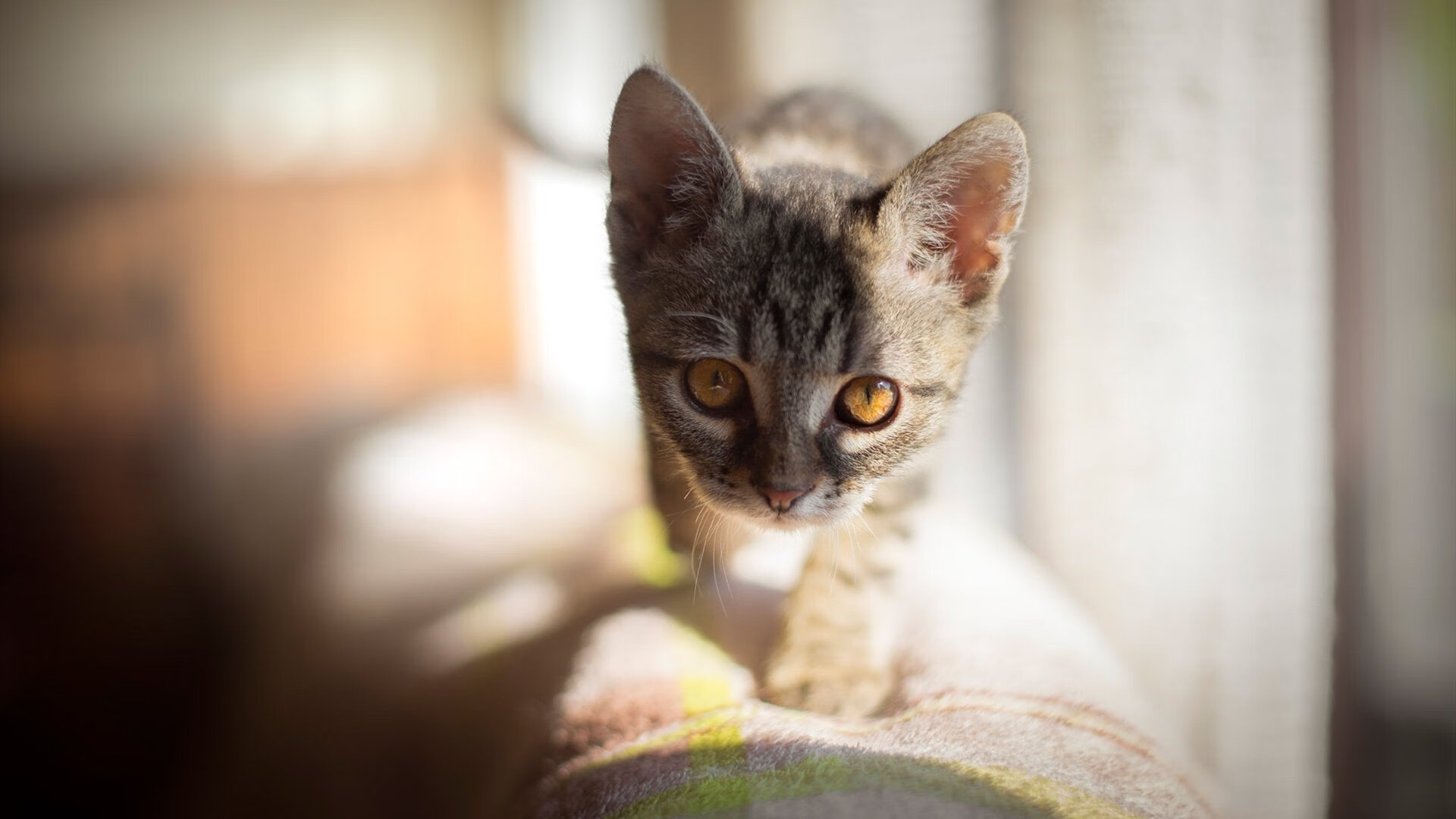 镰刀与剑,当杜兰特决定比赛时,马刺正被魔术终结