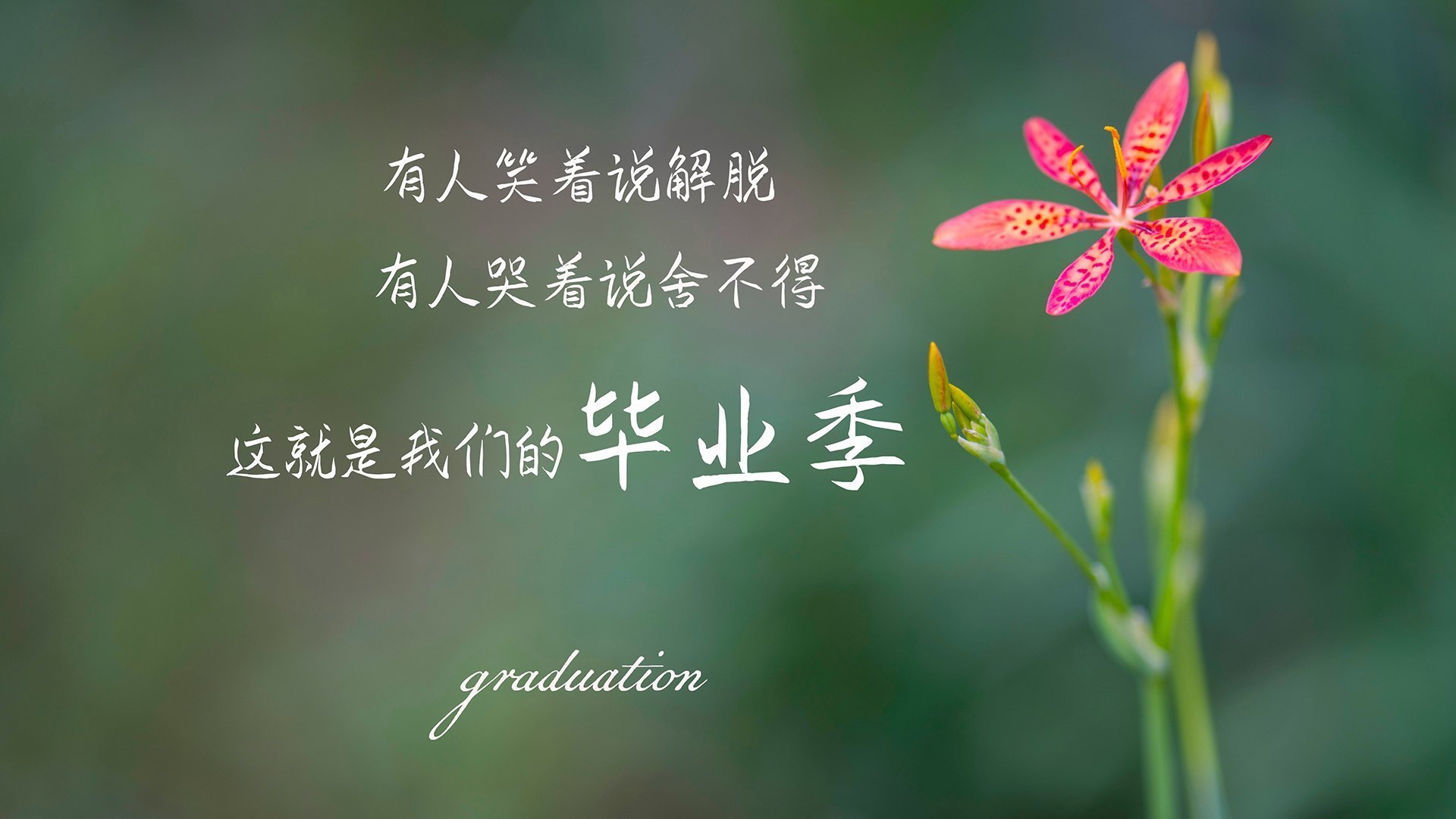 欧冠意志之战,马里铁幕下的基米希交响曲