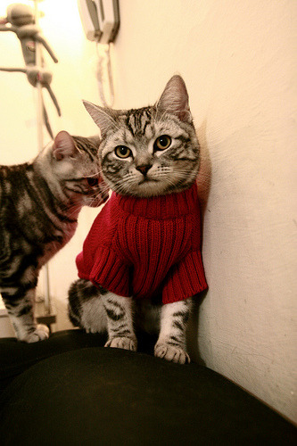 唯一之战，巴斯托尼个人爆发与巴黎集体火力共演足球盛宴