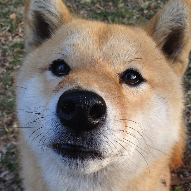 杭州的嘘声与休斯顿的叹息,当浙江元素撞见哈登的里程碑之夜