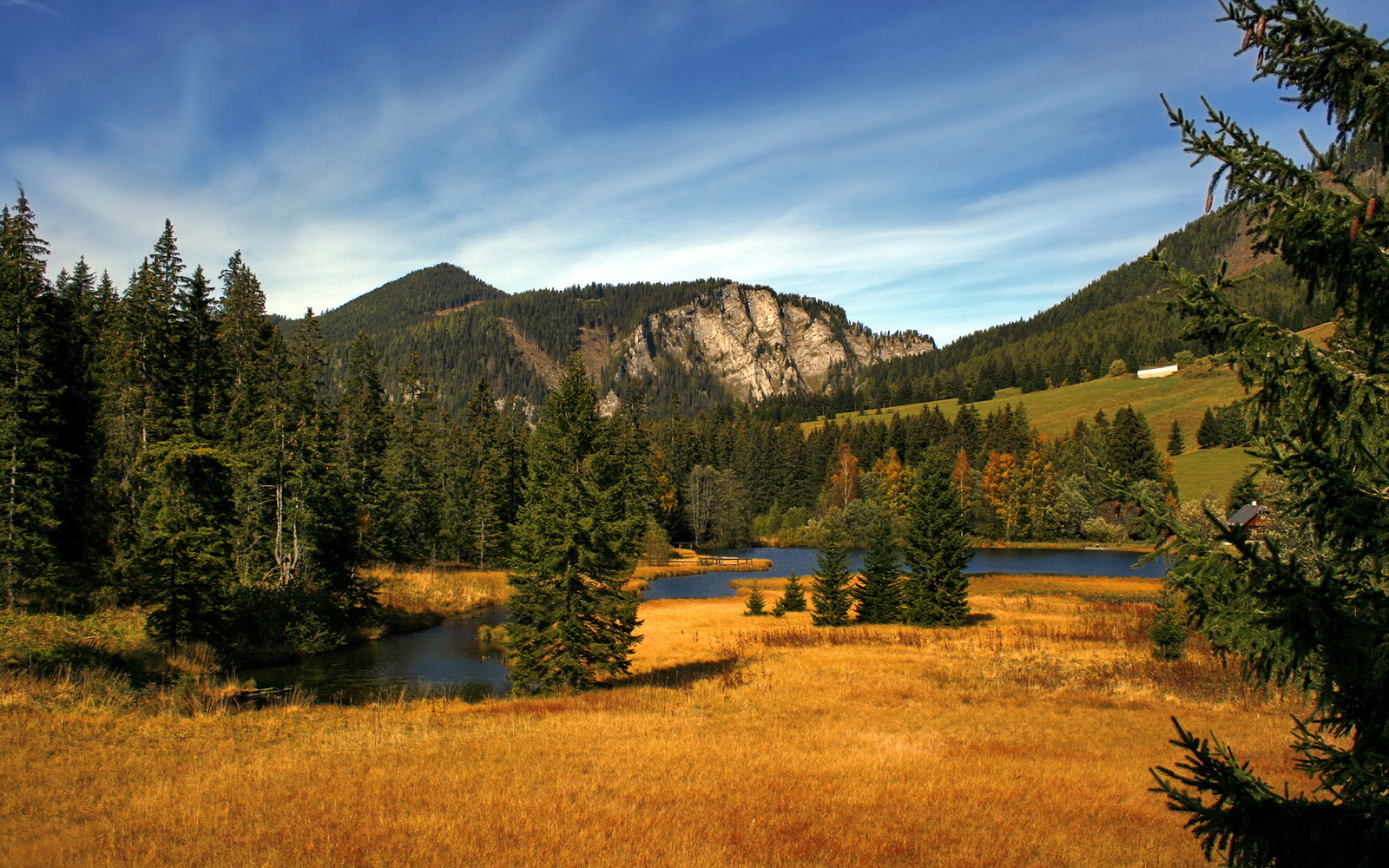 高速缠斗与森林铁幕,当维斯塔潘征服洛杉矶弯道,狼群已撕破紫金防线