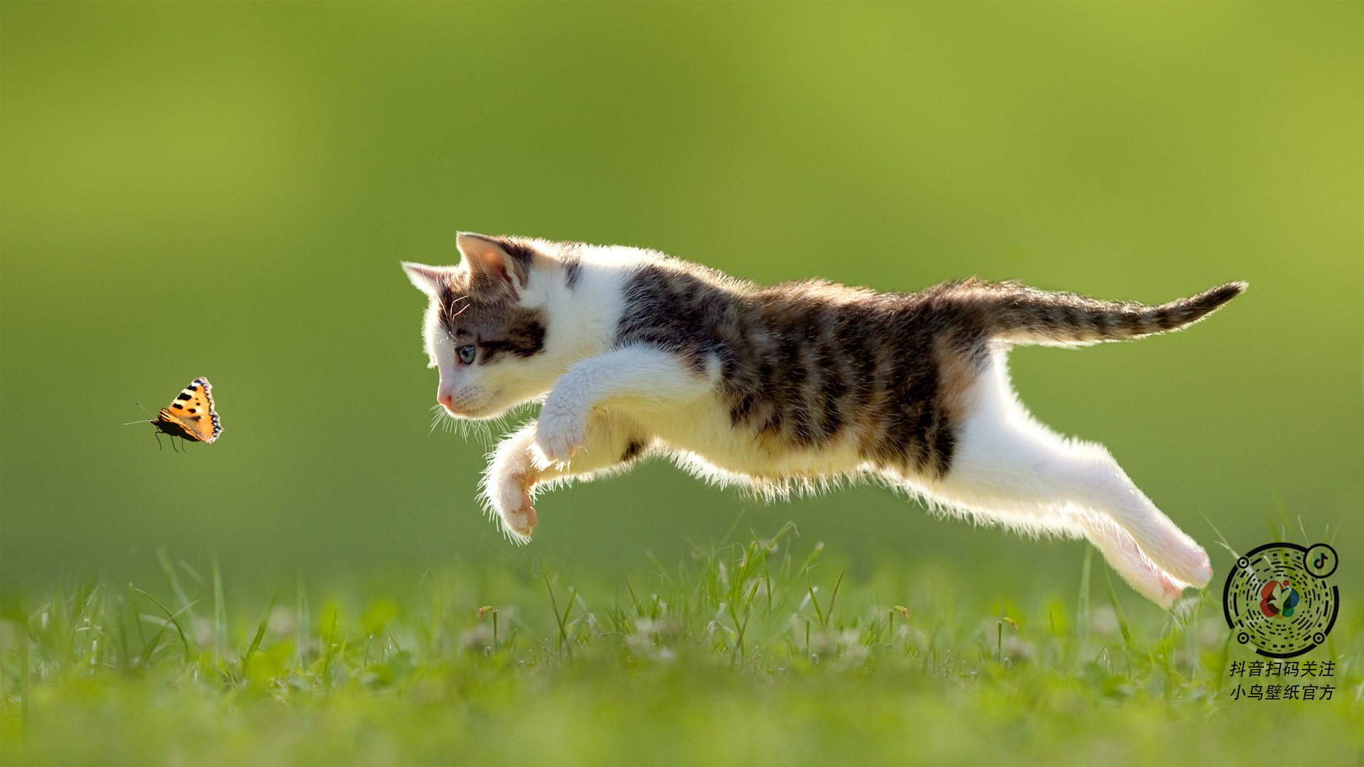 绿茵场上的东北虎,当欧冠淘汰赛的硝烟,在吉林制霸尼克斯之夜点燃