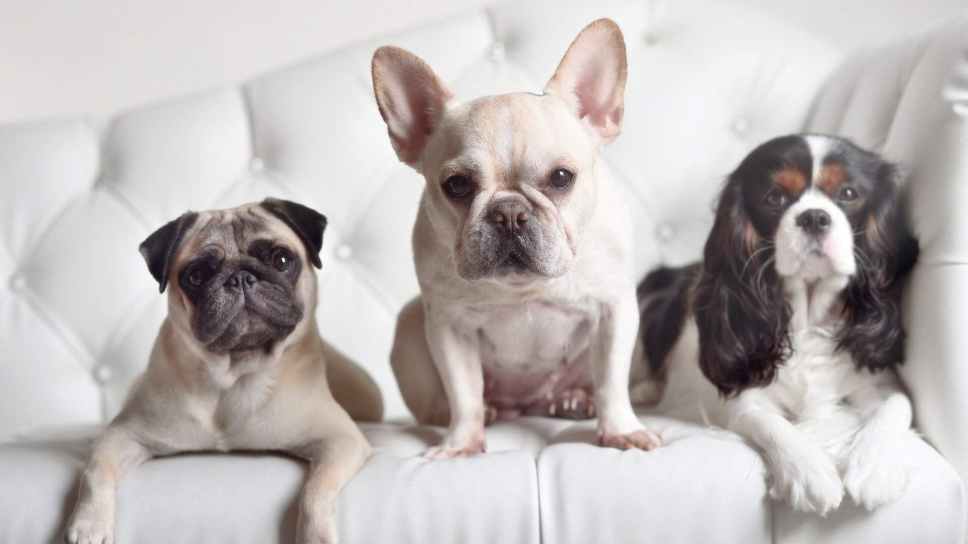 拜仁战术体系赋能德国队,京多安关键先生助阵压制丹麦